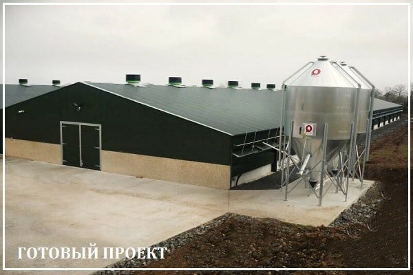 Этапы возведения птицефабрики от завода ВелесТент-мрм